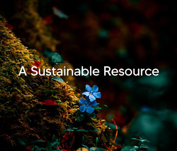Sustainable